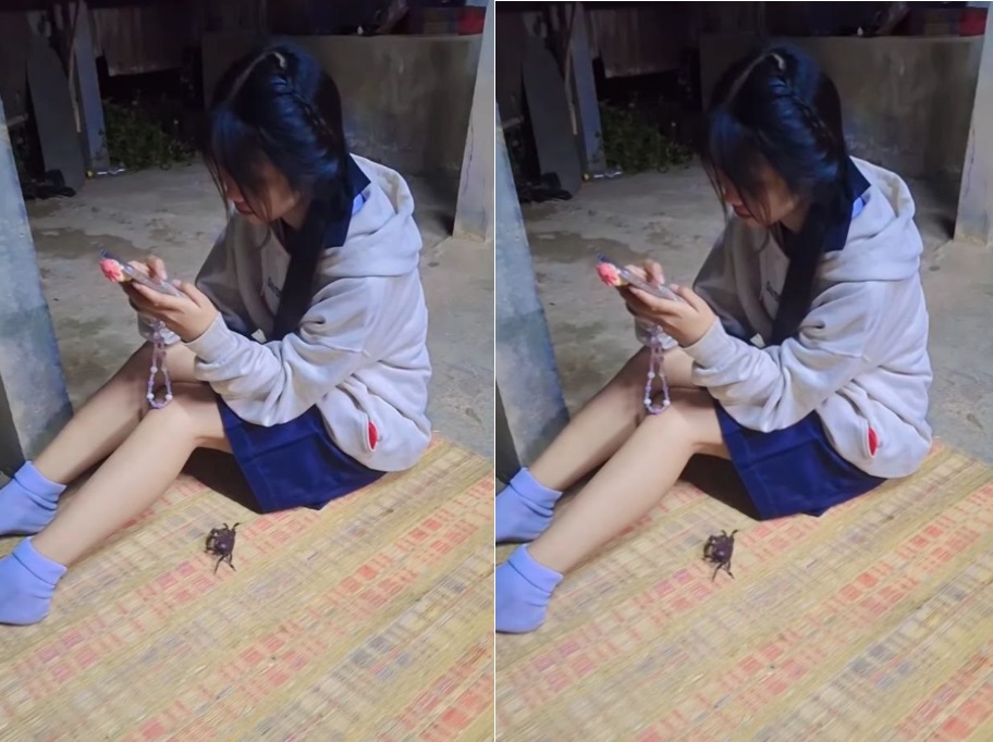 Tối Sang Nhà Bạn Gái Việt Nam, Chủ Yếu Đè Nhau Ra Nện